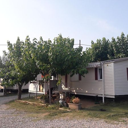 Camping Vila Village Sant Feliu de Buixalleu Exterior photo